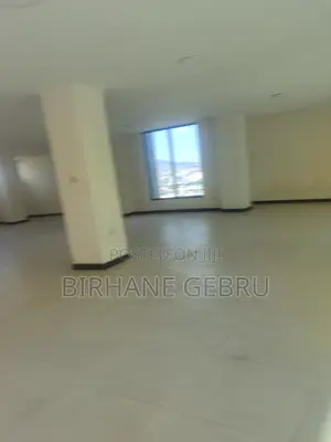 Luxury Apartiment for Office or Business