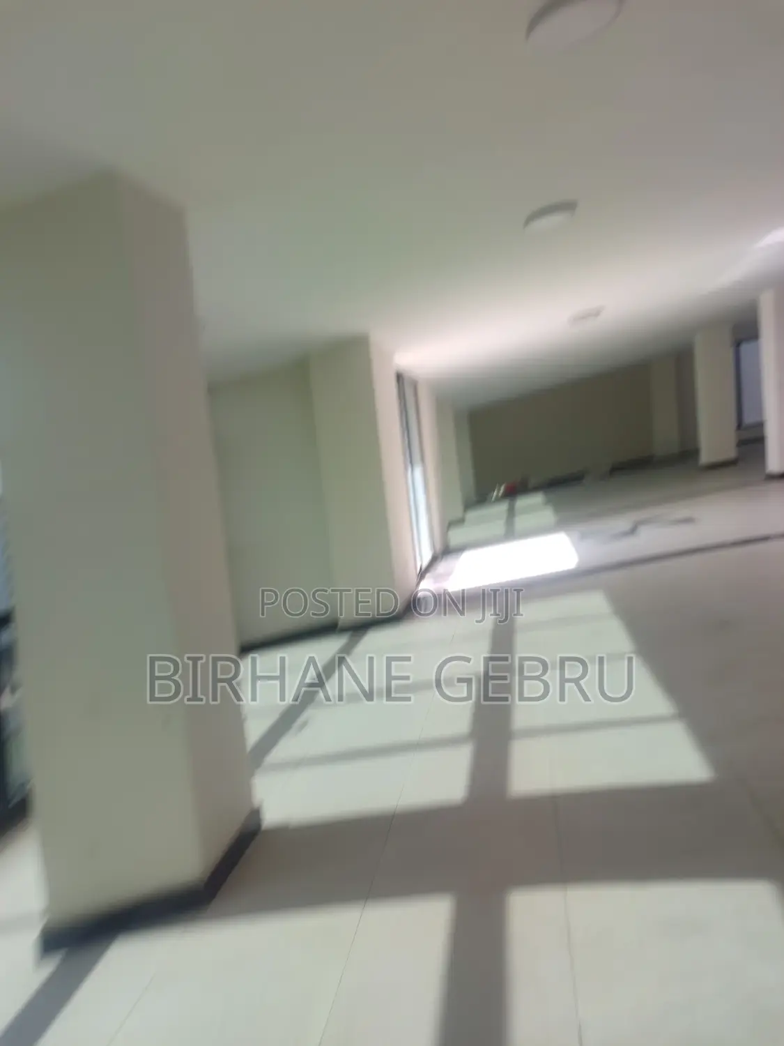 Luxury Apartiment for Office or Business