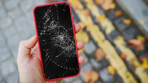 Samsung Galaxy A55 256 GB Silver