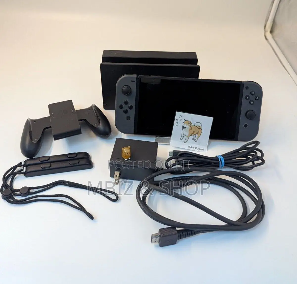 Nintendo Switch Game