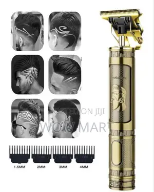 Rechargable Hairdresser