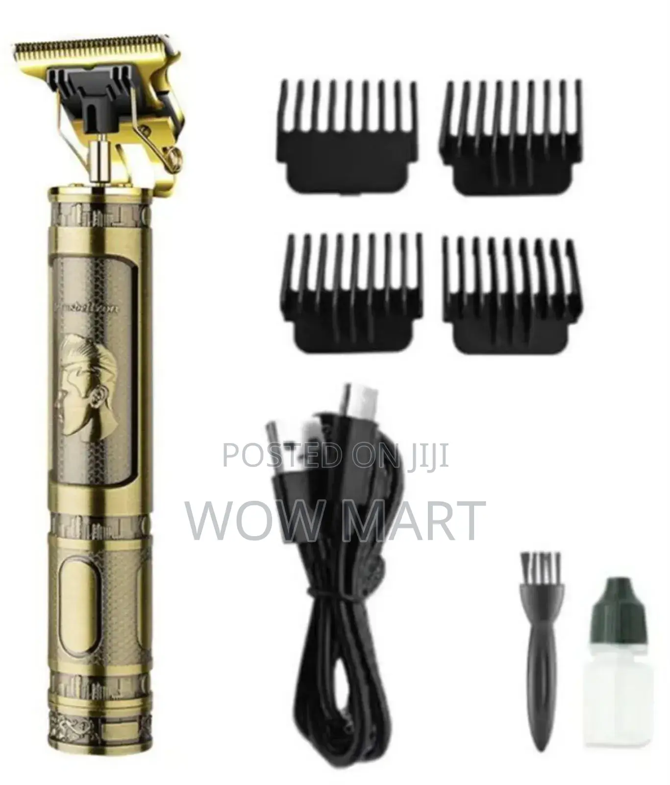 Rechargable Hairdresser