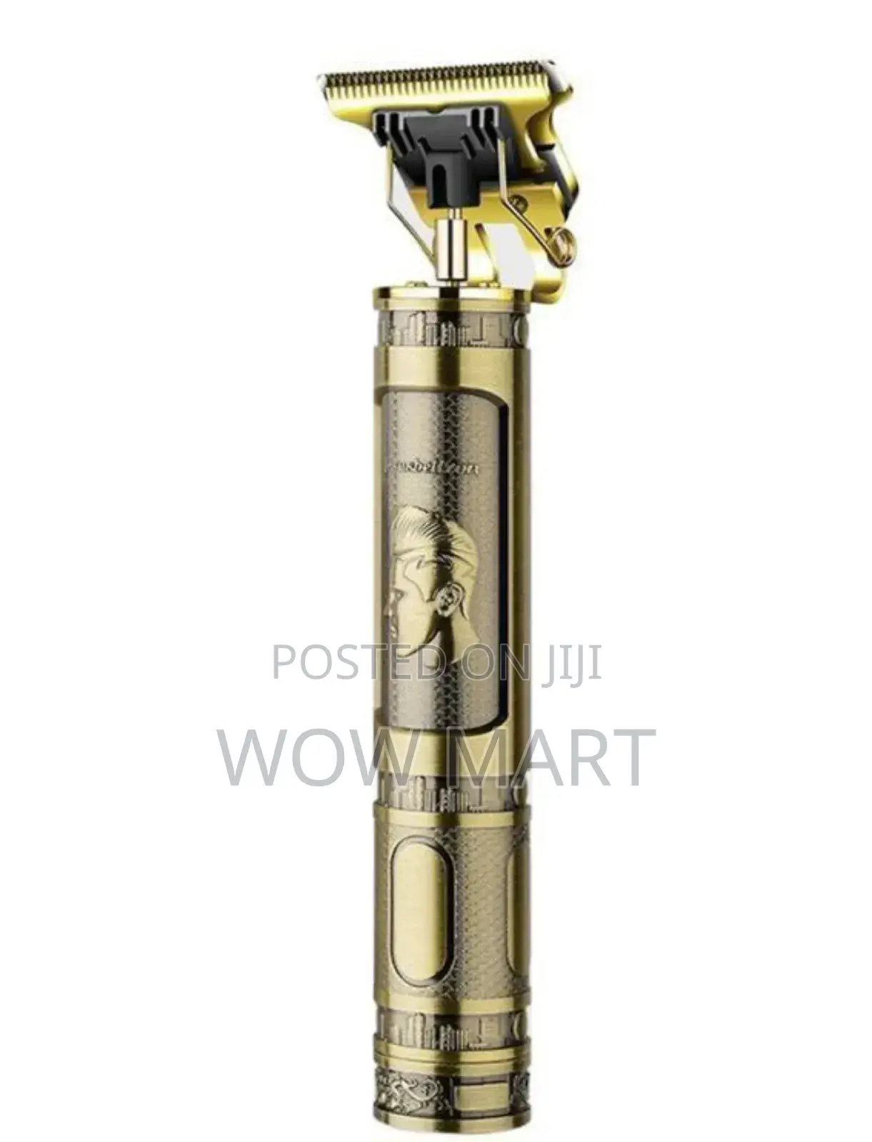 Rechargable Hairdresser