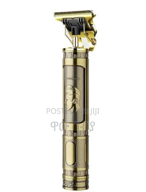 Rechargable Hairdresser