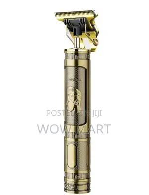 Rechargable Hairdresser