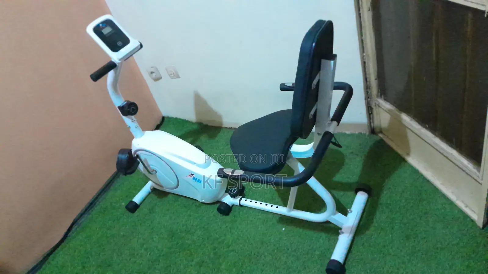 Recumbent Exercise Bike.