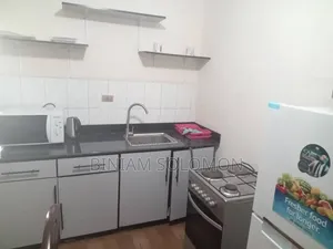 Photo - Furnished Studio Apartment in Bole for rent
