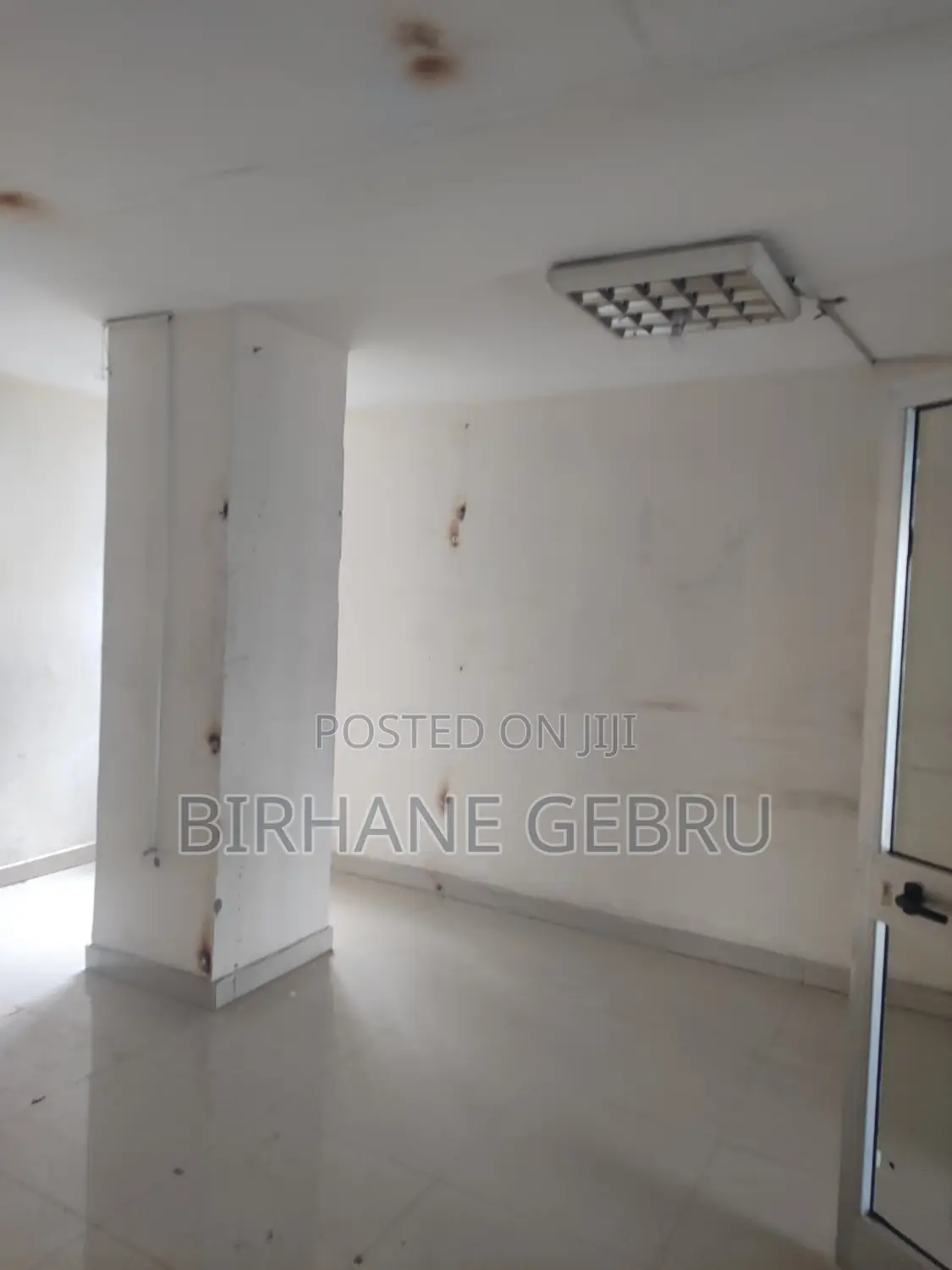 Luxury Apartiment Rent for Office