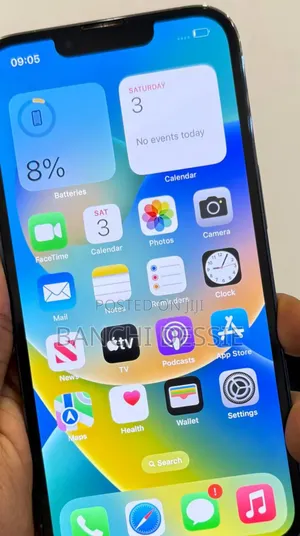 Apple iPhone 13 Pro Max 256 GB Silver