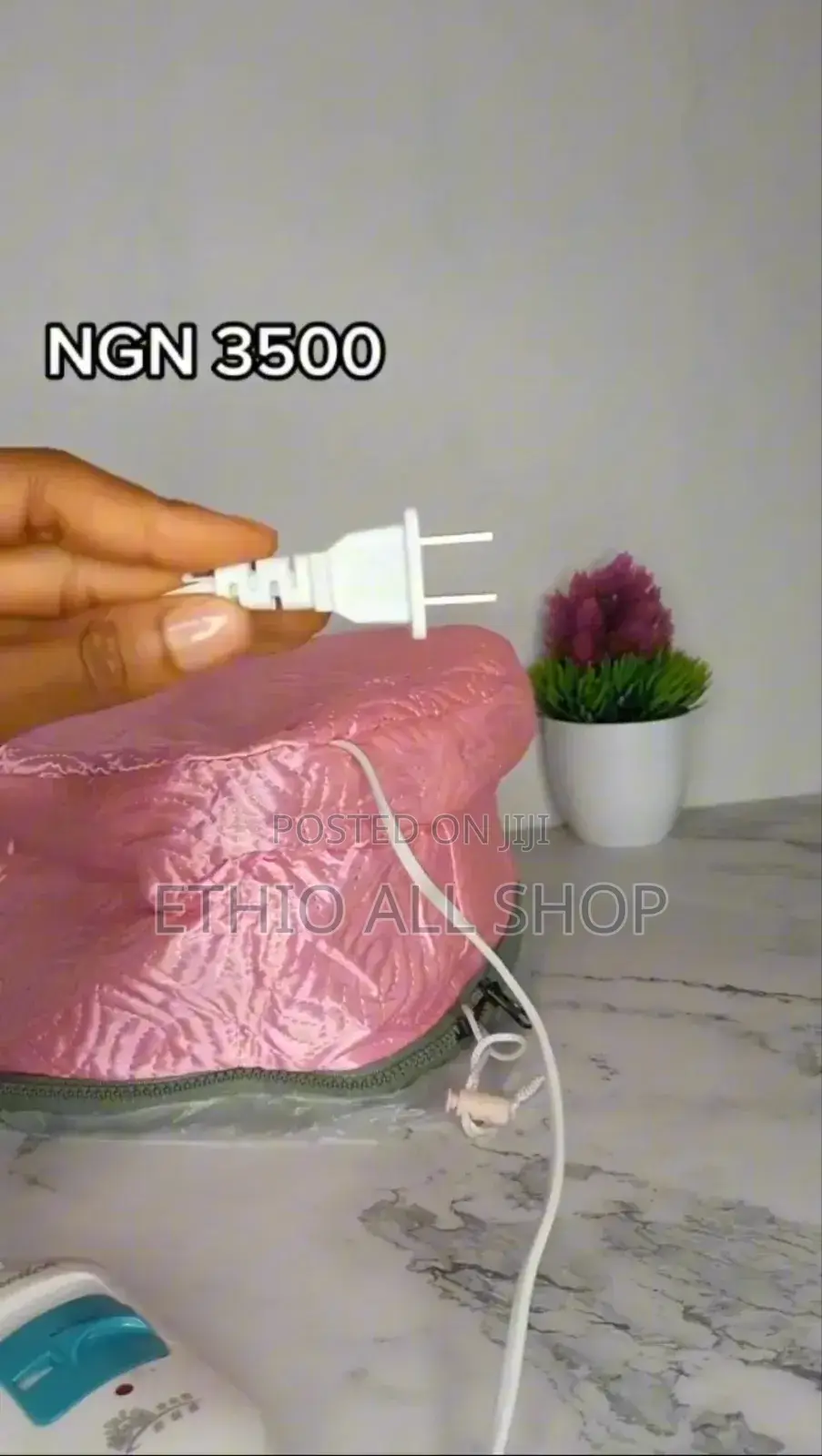 Electric Hair Steamer