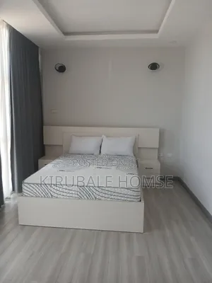 Furnished 3bdrm Apartment in Bole for rent