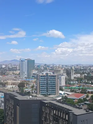 Furnished 2bdrm Apartment in Mexico, Bole for rent