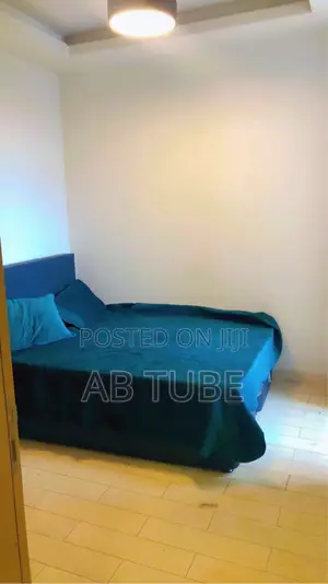 Furnished 2bdrm Apartment in Alsam Real State, Lideta for rent