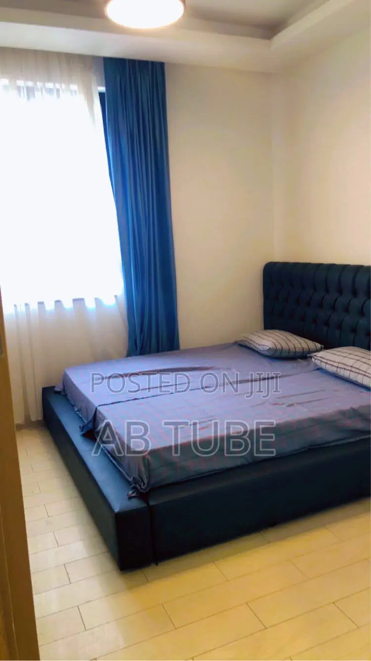 Furnished 2bdrm Apartment in Alsam Real State, Lideta for rent