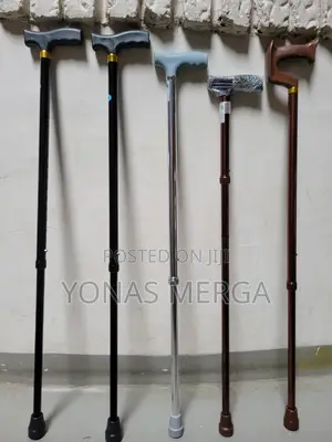 Photo - Top Quality Walking Stick in Aluminum Therefore Very Light