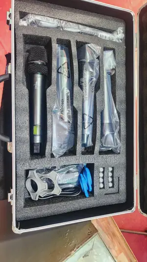 HBS Pro Ugx40 Stage Mic