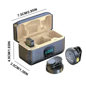 Dual Wireless Microphone