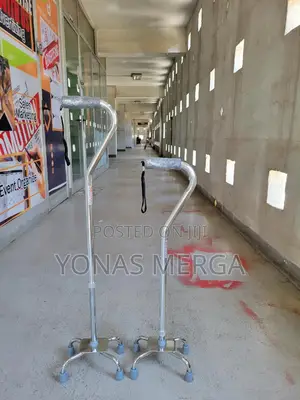 Photo - These Canes Are Made Out of Aluminum and Have a Small Base