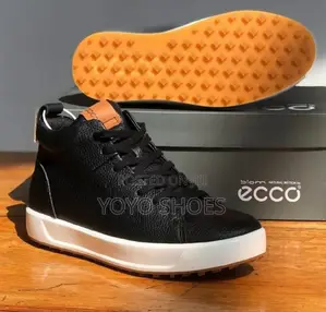 Ecco Faahion Shoes