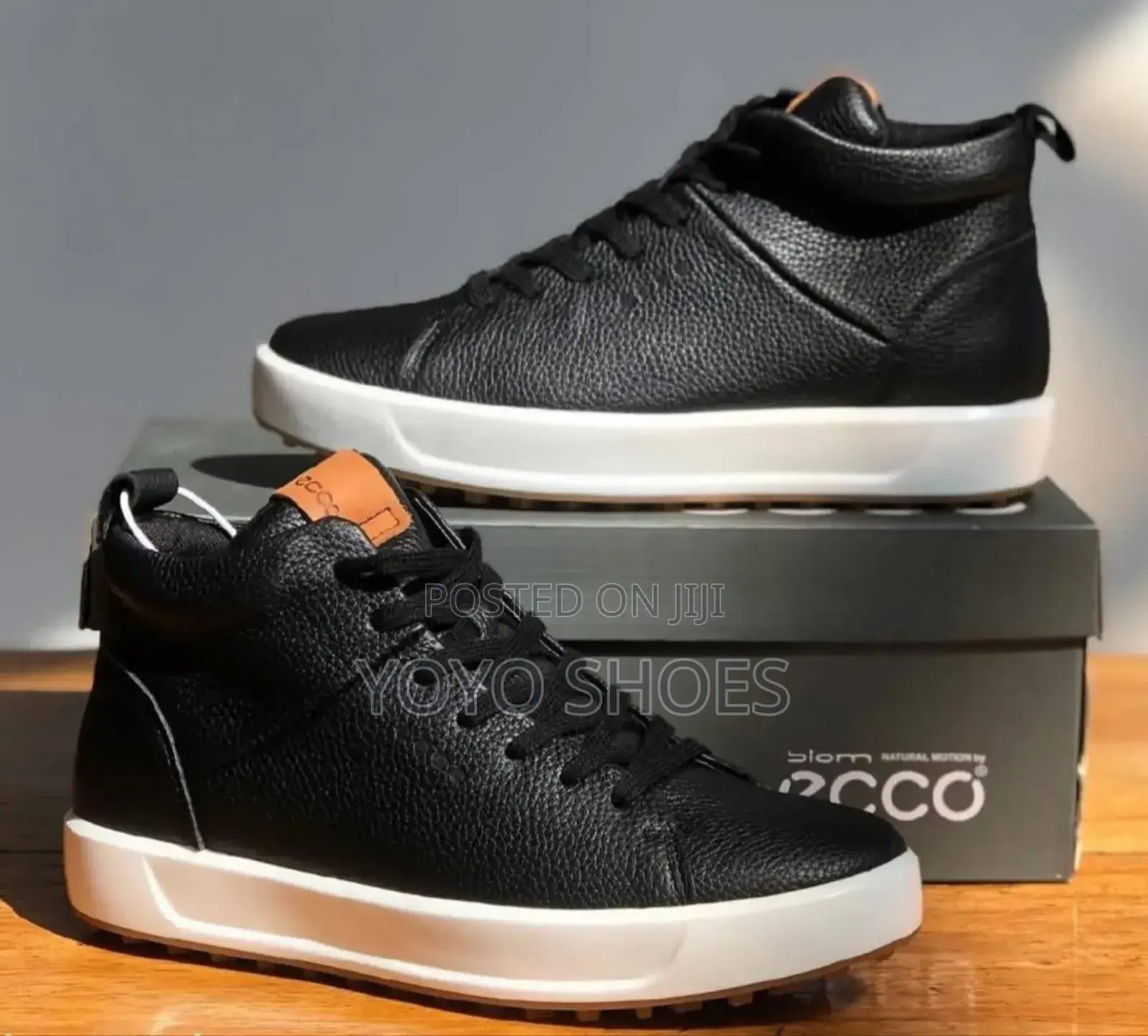 Ecco Faahion Shoes