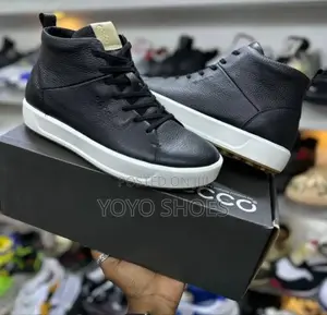 Ecco Faahion Shoes