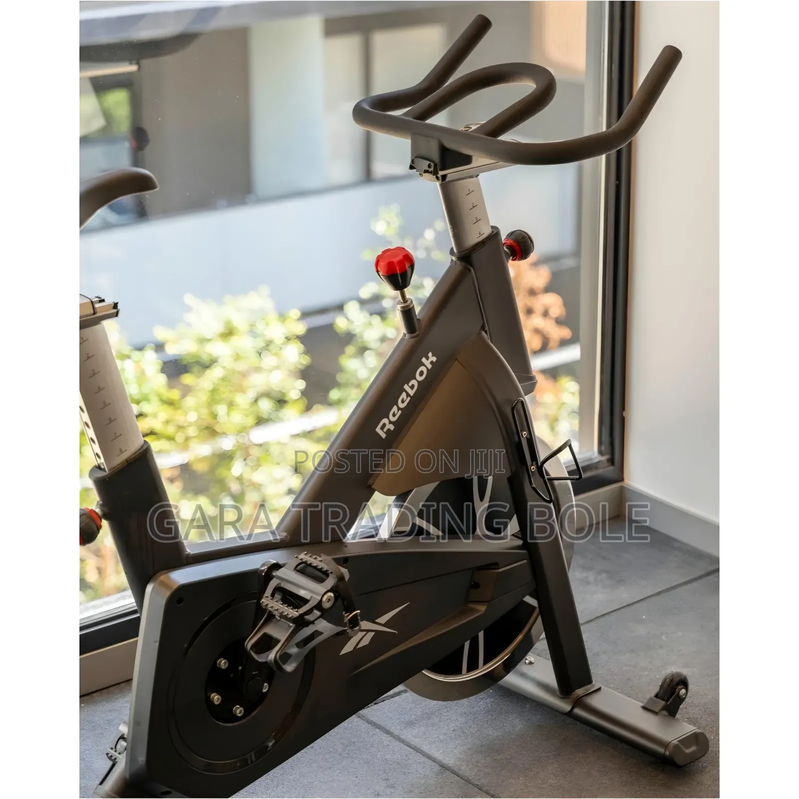 Exercises Bike for Gym and Home