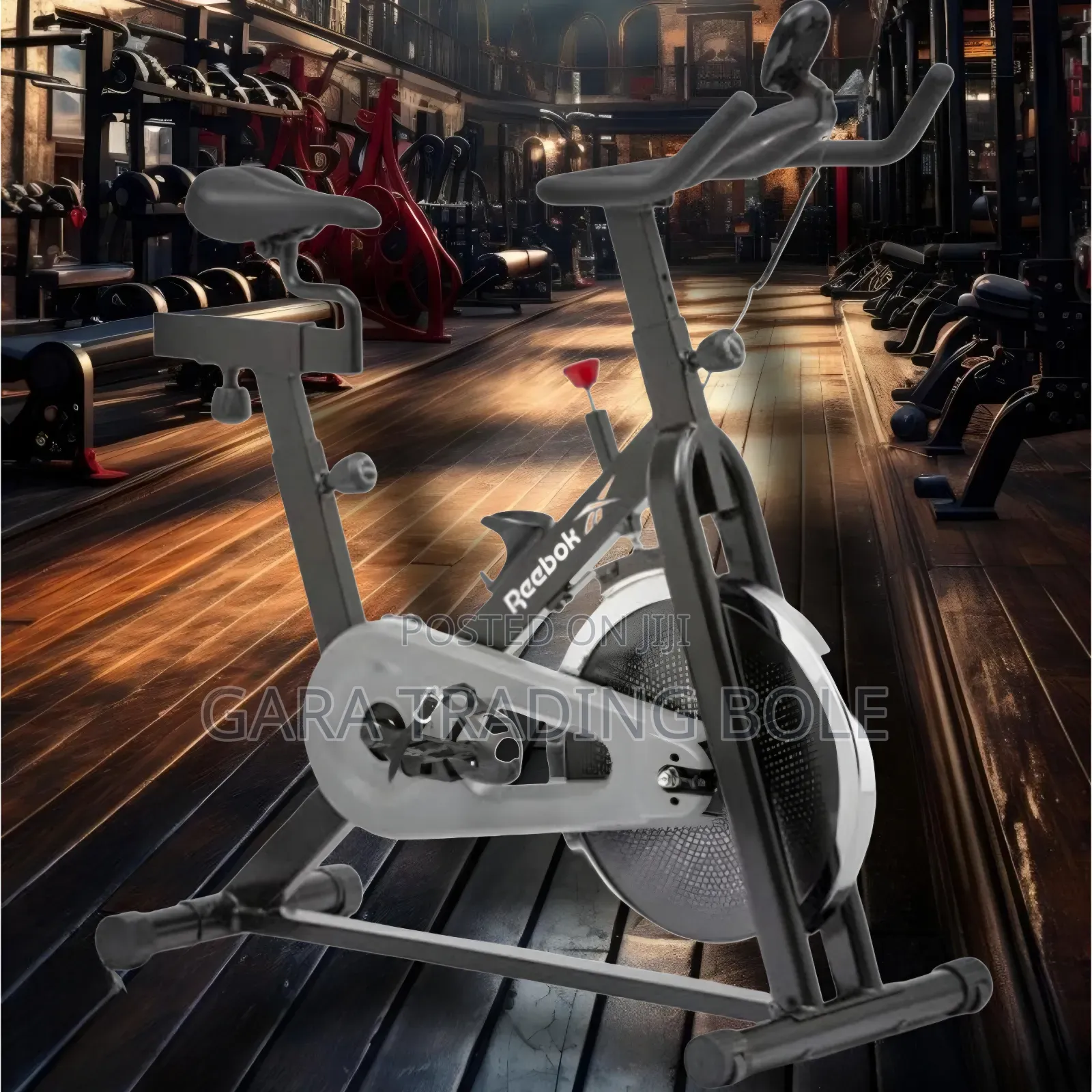 Exercises Bike for Gym and Home