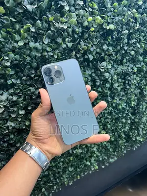 Apple iPhone 13 Pro Max 256 GB Gray