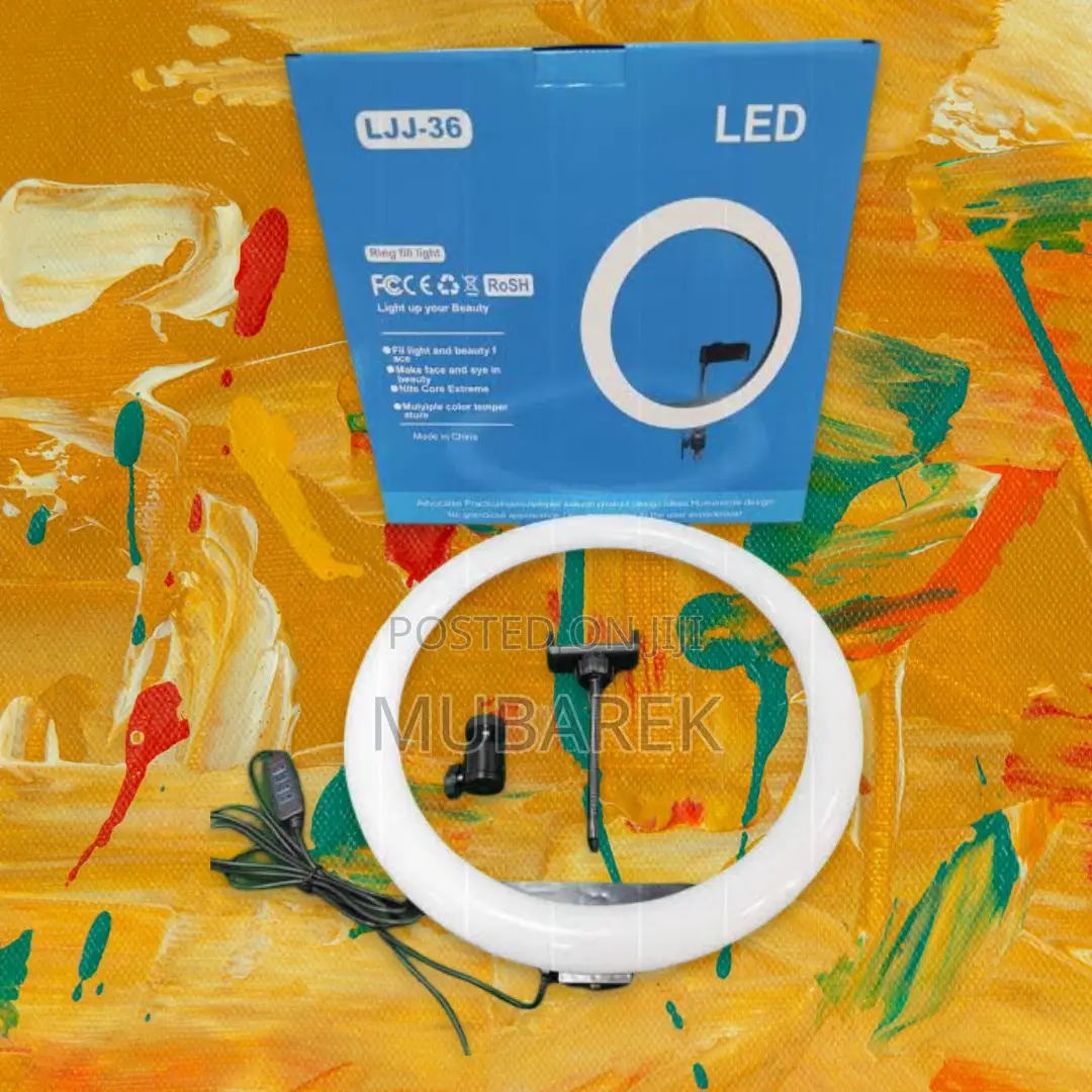 Shine On: 14-Inch Light