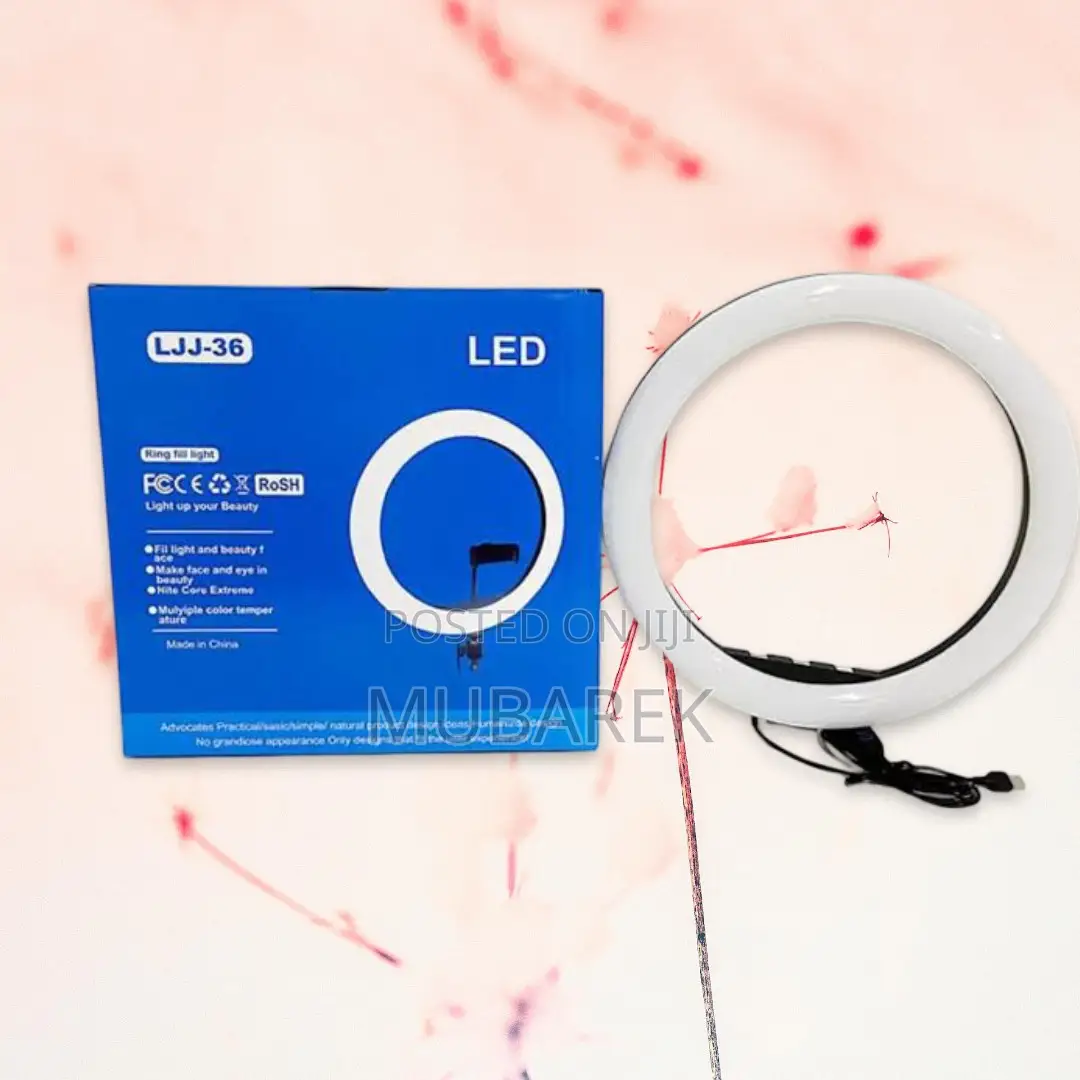 The Go-to 14-Inch Ring Light for Instagram Content