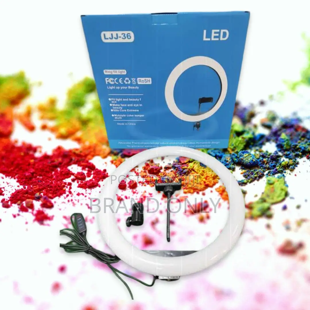 Capture the Light: With Your 14-Inch Companion