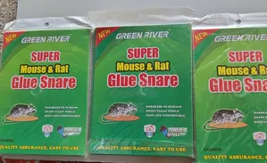 Super Mouth and Rat Glue Snare( አስተማማኝ የ አይጥ ማጣበቂያ )