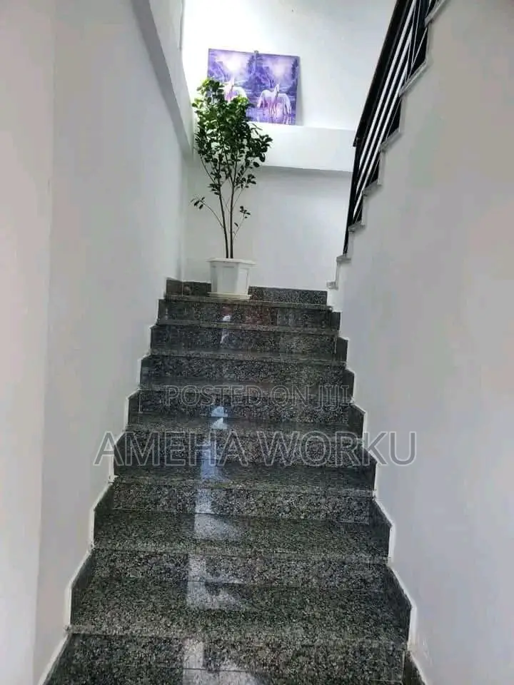 B + G+6ለተለያዩ ቢዝነስ ሚሆን ህንፃ 250 ካሬ