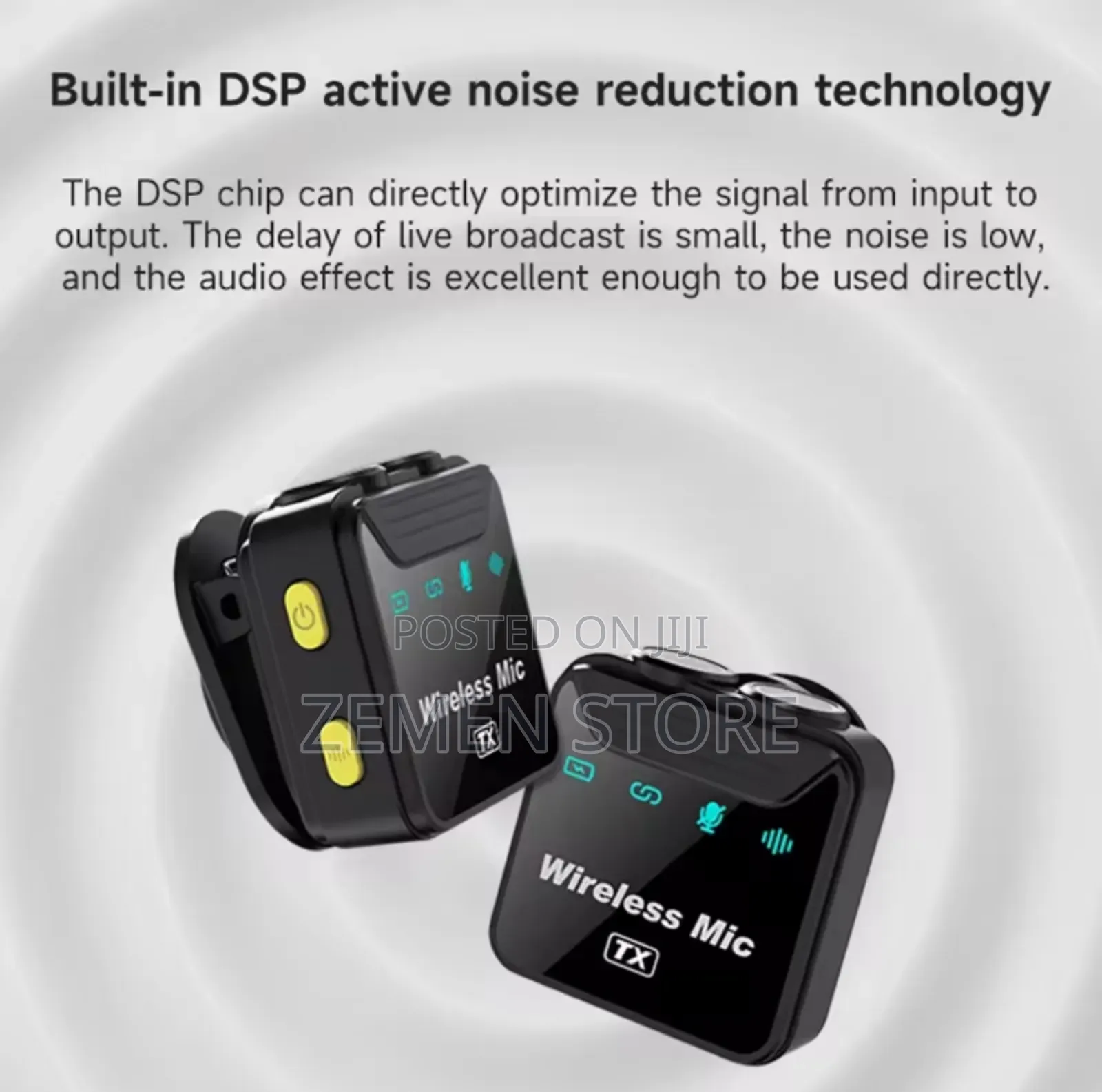 Dual Wireless Microphone