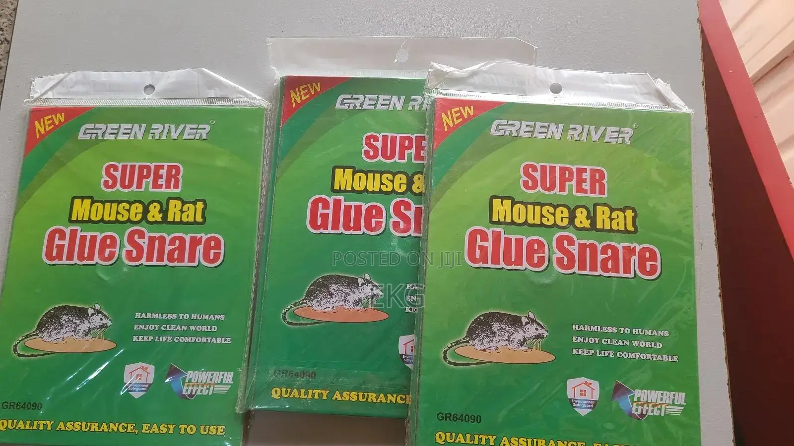 Super Mouth and Rat Glue Snare( አስተማማኝ የ አይጥ ማጣበቂያ )