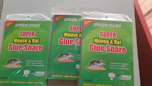 Super Mouth and Rat Glue Snare( አስተማማኝ የ አይጥ ማጣበቂያ )