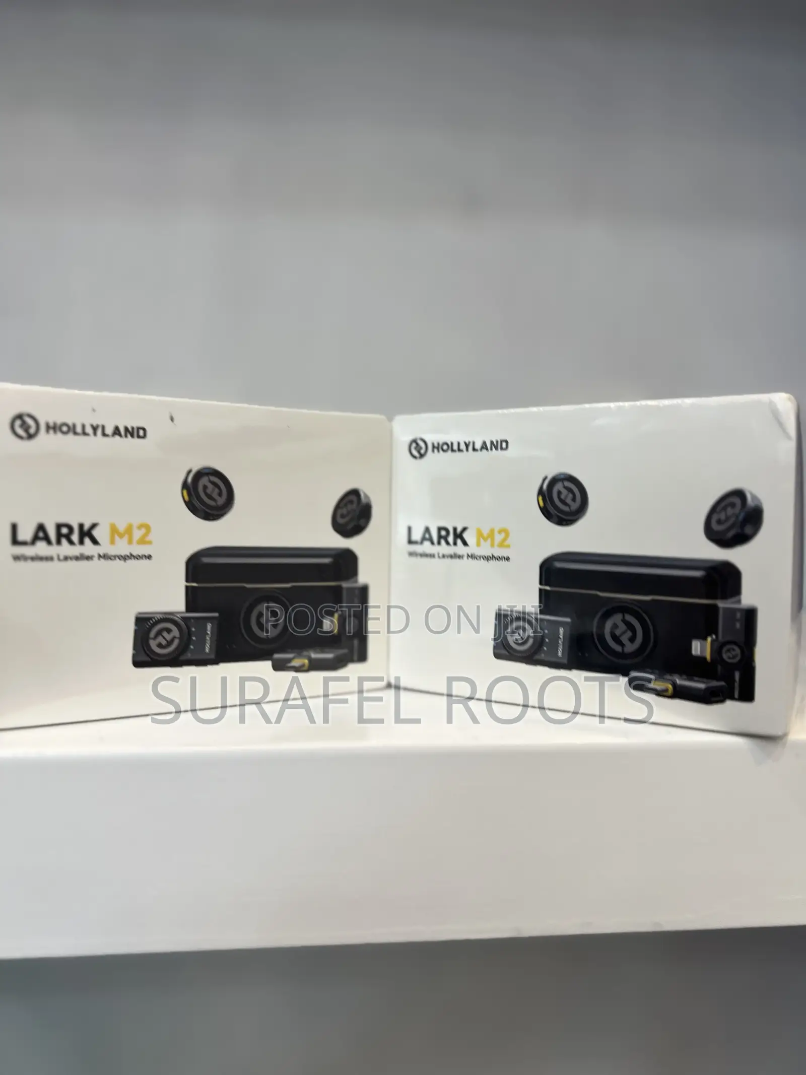 Hollyland Mic 2 New