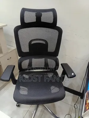 Photo - Egronomic Chair