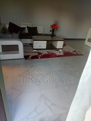 Furnished 4bdrm Apartment in Yeka for rent