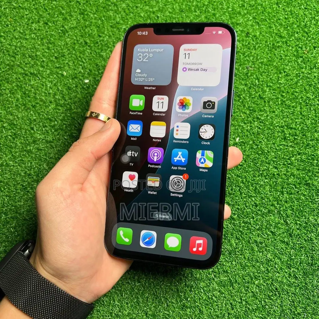 Apple iPhone 12 Pro Max 256 GB Blue