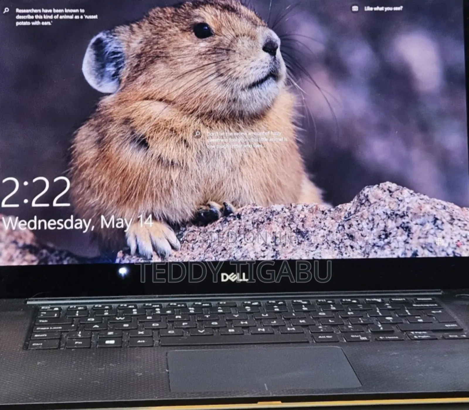 New Laptop Dell XPS 15 16GB Intel Core I7 SSD 512GB