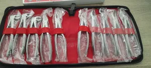 Extractions Forceps Set