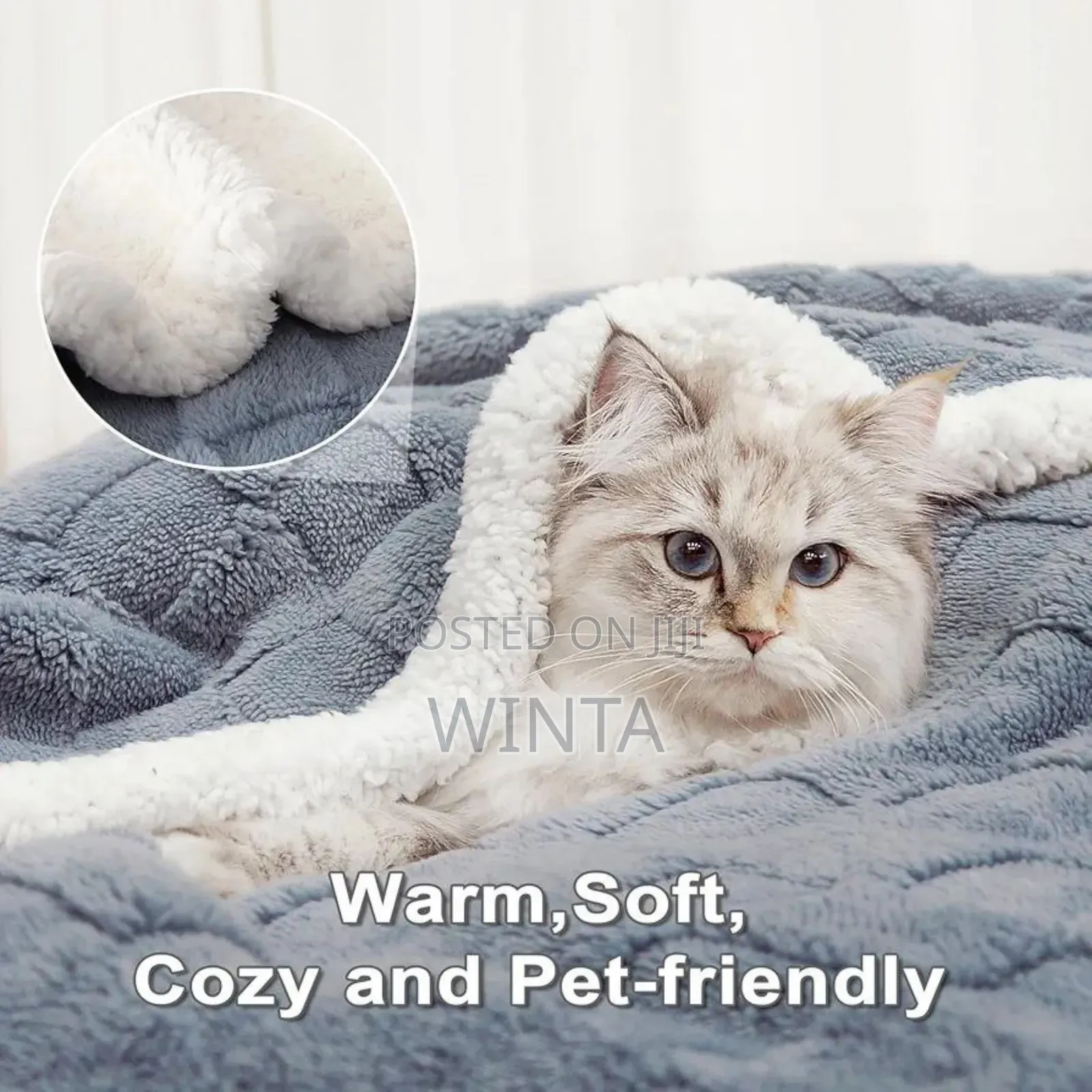 Cozy Blankets