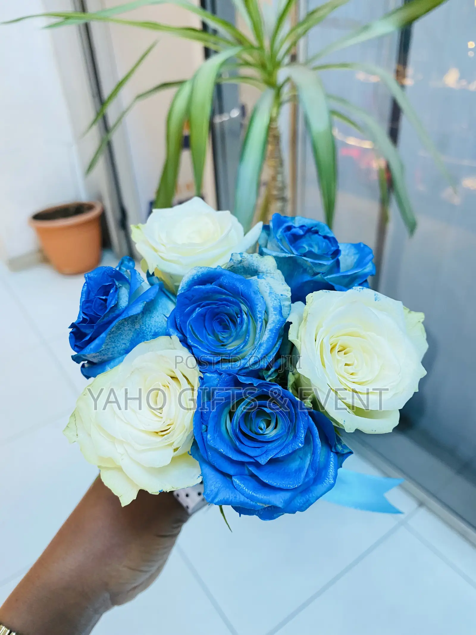 Blue Flower and Toy Gift