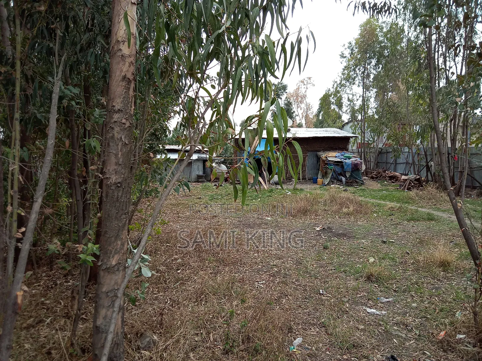 Land for Sale in Bulbula Refenti