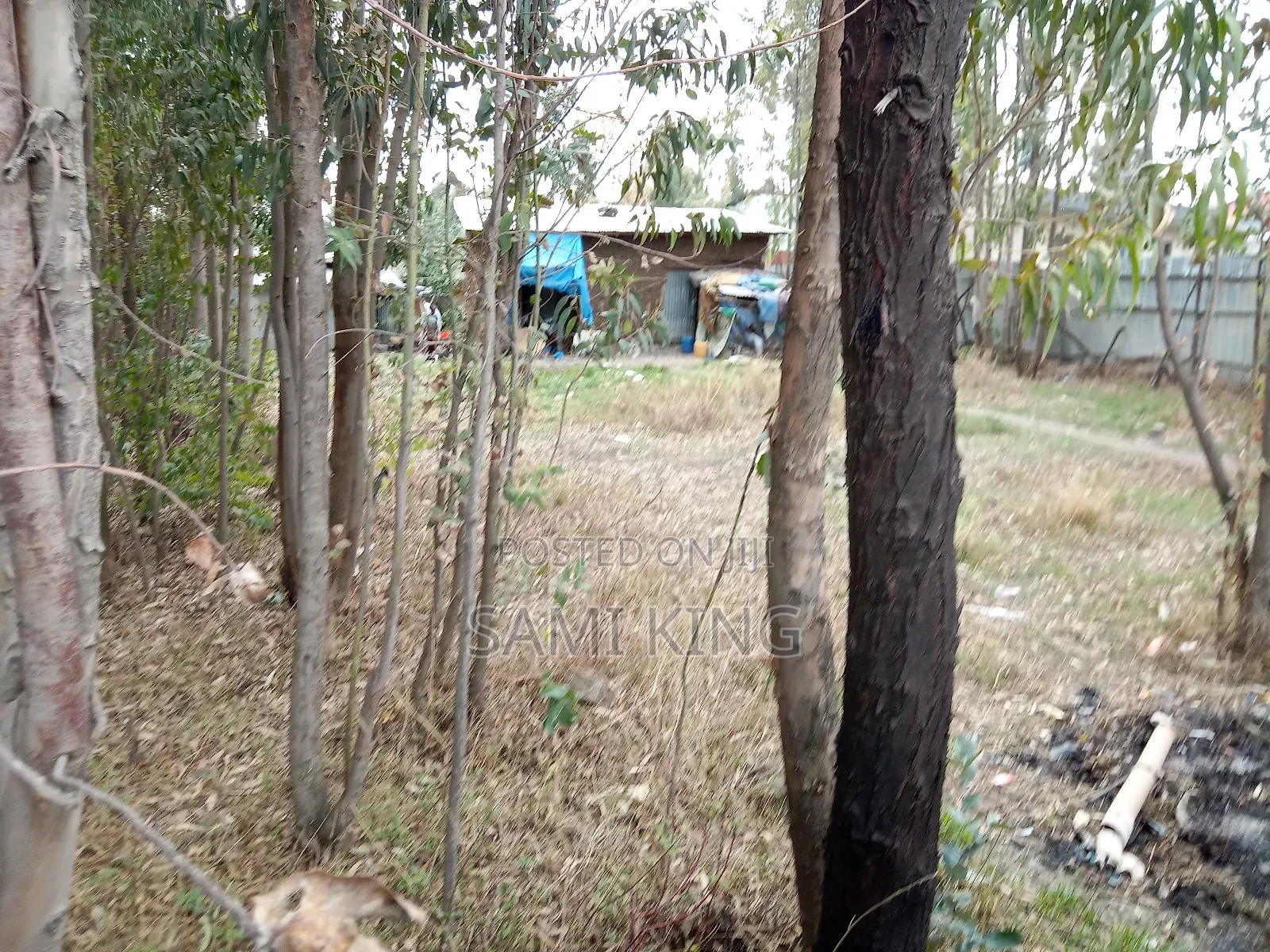 Land for Sale in Bulbula Refenti