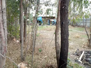 Land for Sale in Bulbula Refenti