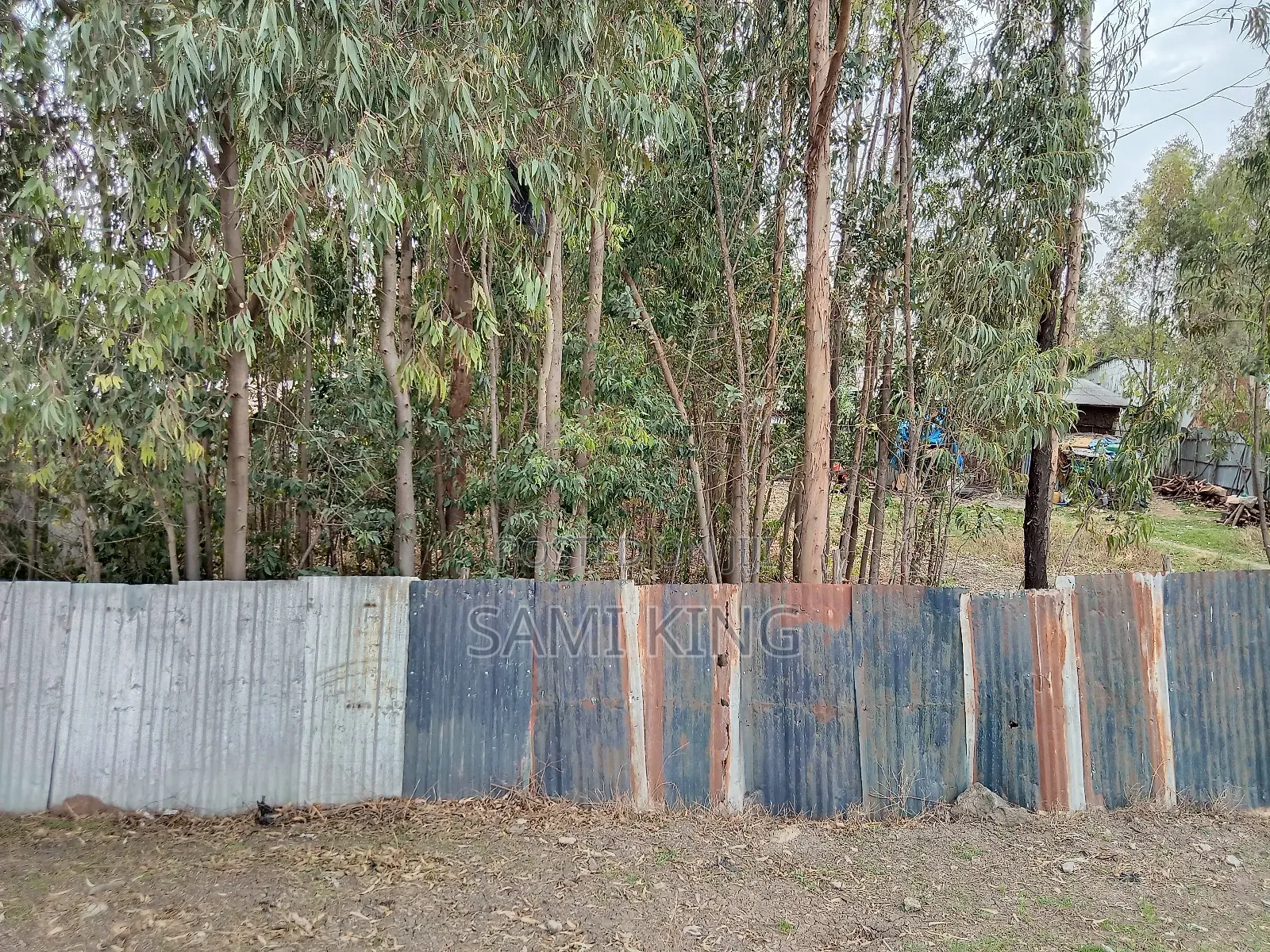 Land for Sale in Bulbula Refenti