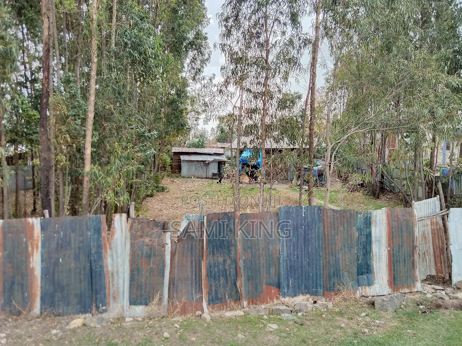 Land for Sale in Bulbula Refenti