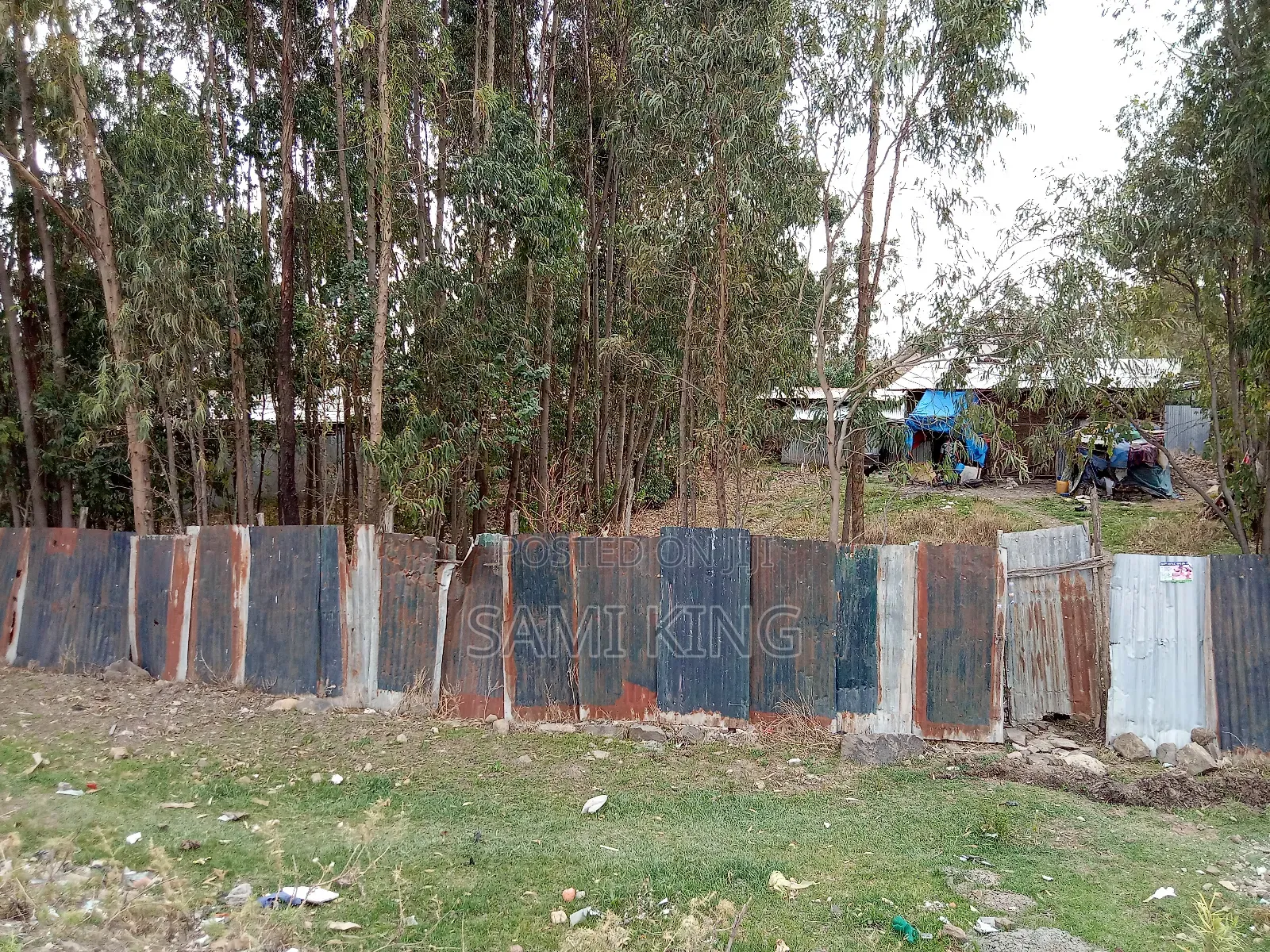 Land for Sale in Bulbula Refenti